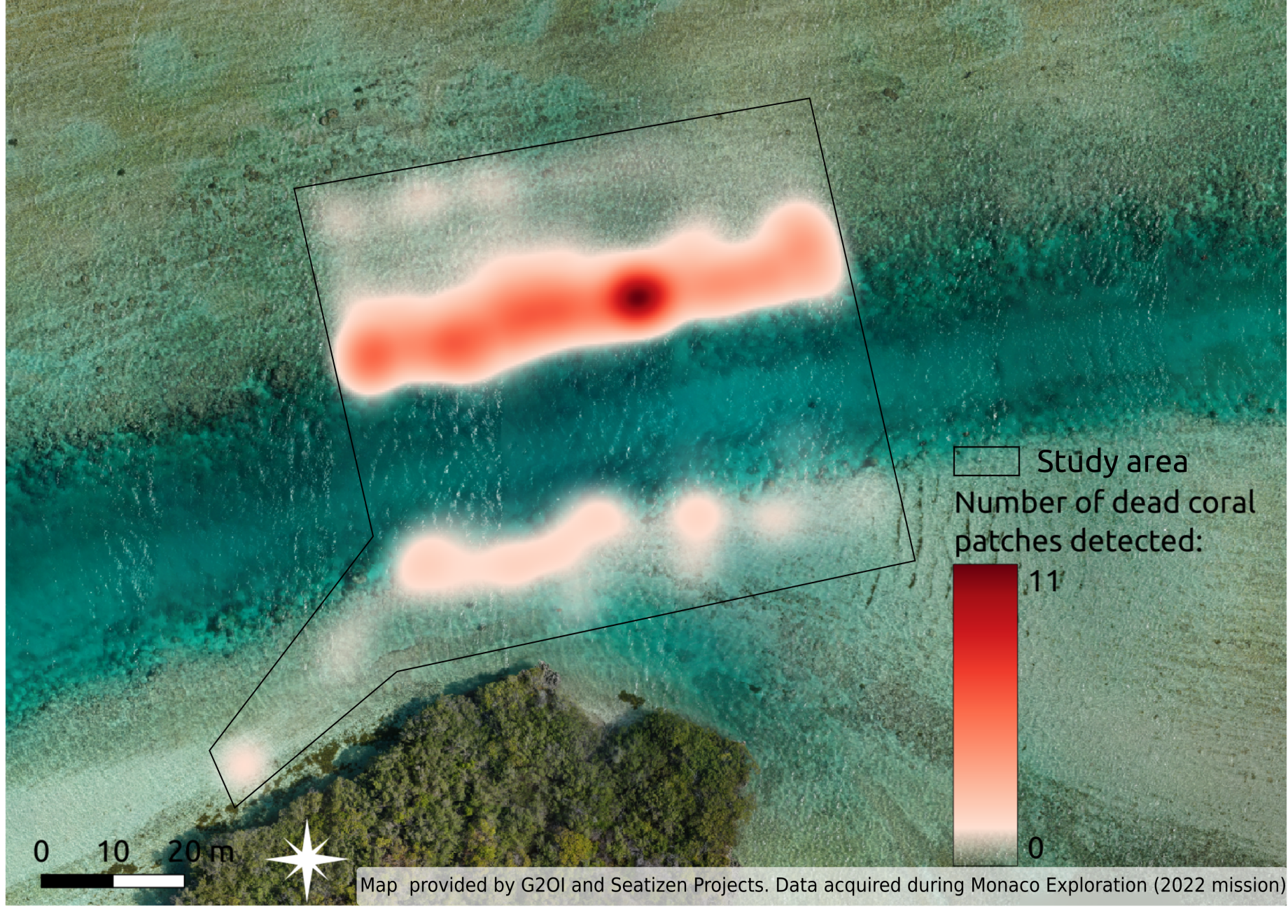 Detection of dead corals on georeferenced images